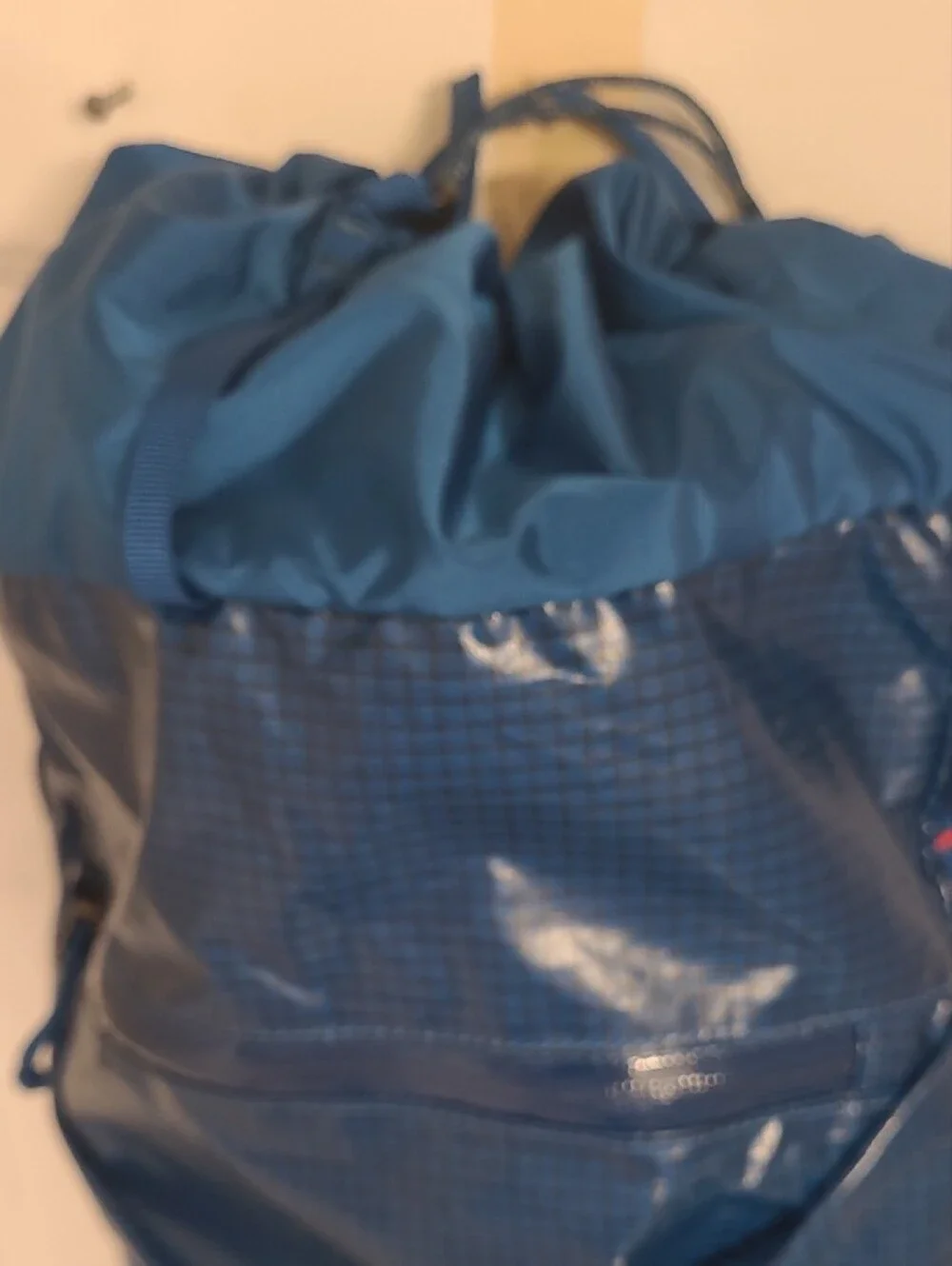 Patagonia Black Lightweight Roll-Top Pack
